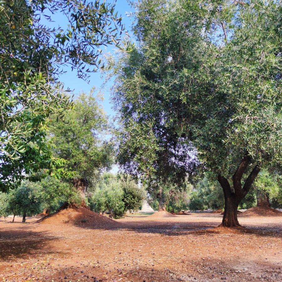 Masseria La Foggia Fasano Exteriér fotografie